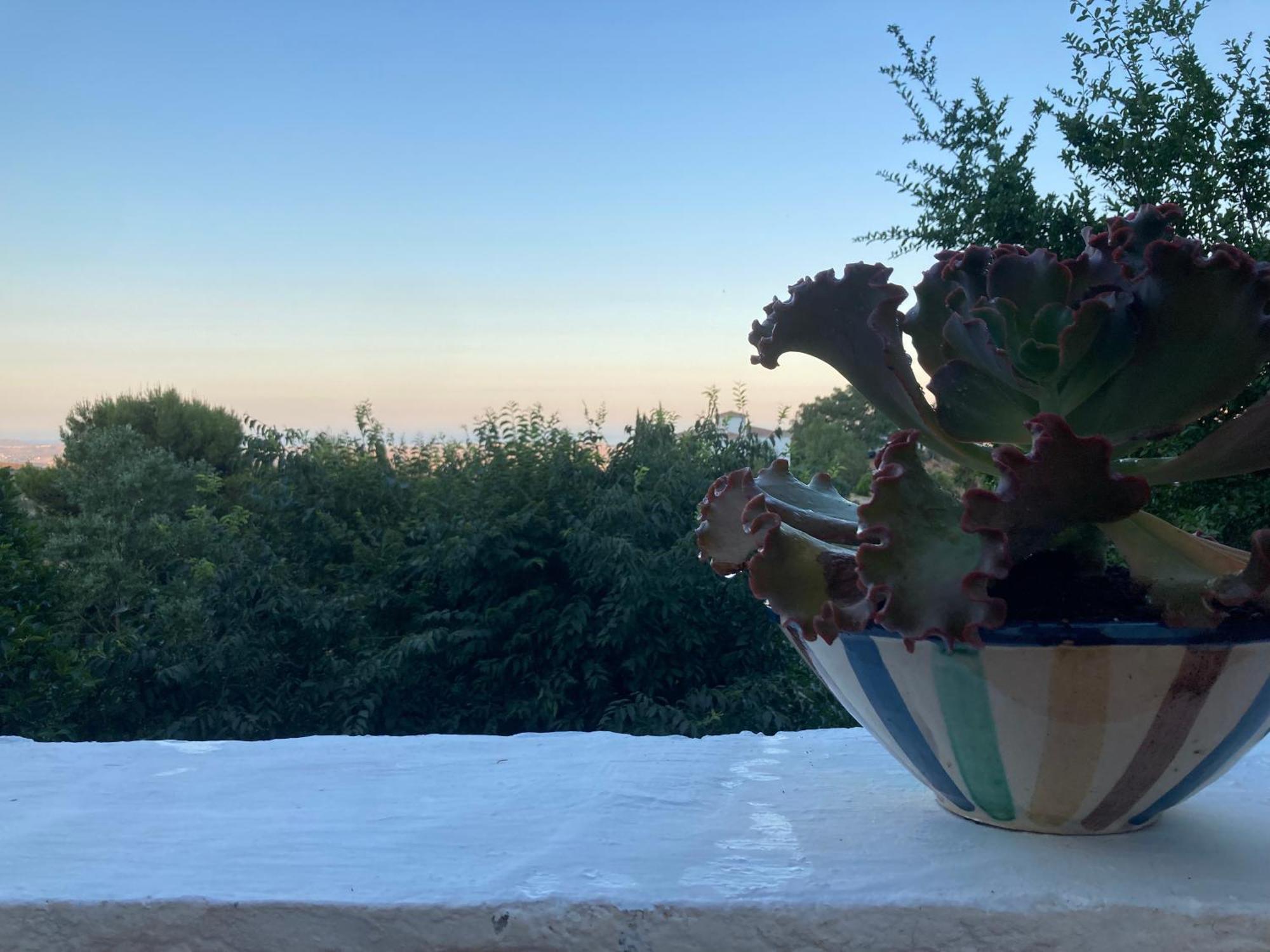 Cortijo De La Fuente Con Vistas Impresionantes Y Playas A 20 Minutos Villa Bedar Bagian luar foto