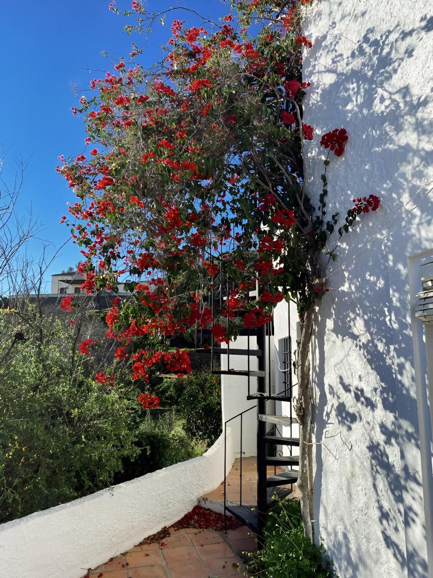 Cortijo De La Fuente Con Vistas Impresionantes Y Playas A 20 Minutos Villa Bedar Bagian luar foto